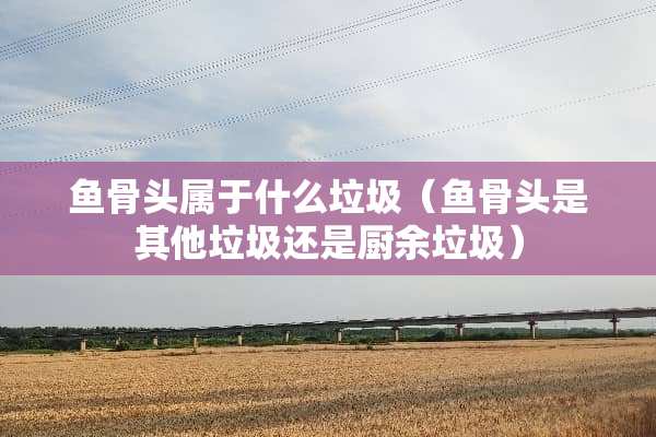 鱼骨头属于什么垃圾（鱼骨头是其他垃圾还是厨余垃圾）