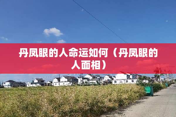 丹凤眼的人命运如何（丹凤眼的人面相）