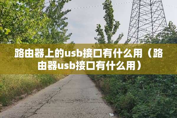 路由器上的usb接口有什么用（路由器usb接口有什么用）