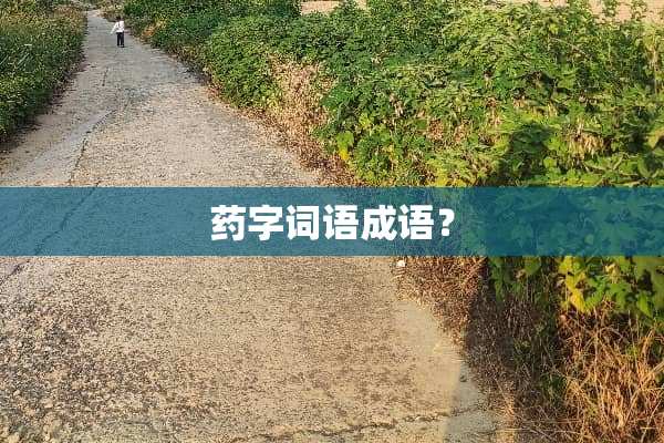 药字词语成语？