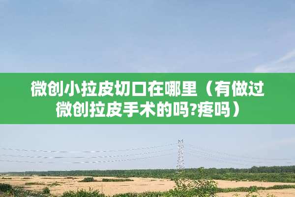 微创小拉皮切口在哪里（有做过微创拉皮手术的吗?疼吗）