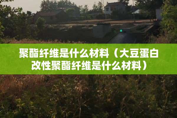 聚酯纤维是什么材料（大豆蛋白改性聚酯纤维是什么材料）