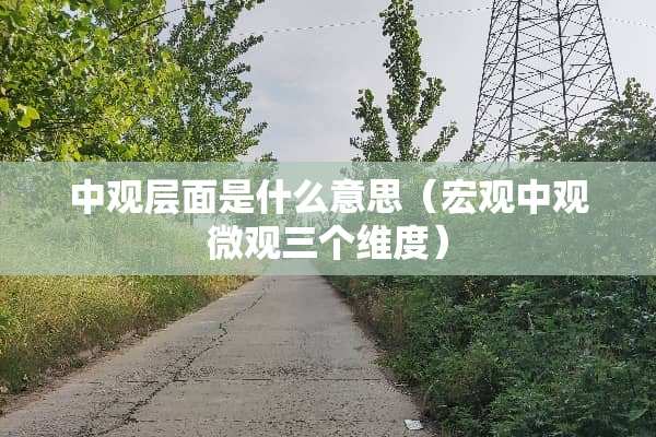中观层面是什么意思（宏观中观微观三个维度）