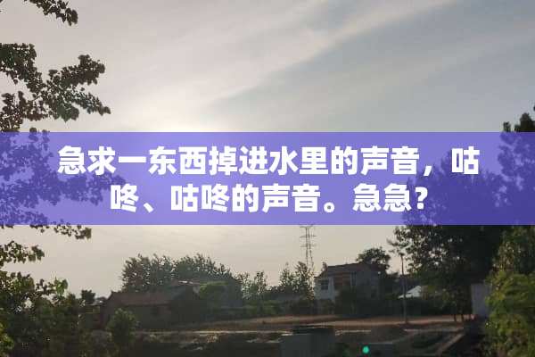 急求一东西掉进水里的声音，咕咚、咕咚的声音。急急？