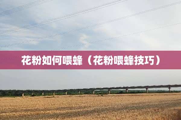 花粉如何喂蜂（花粉喂蜂技巧）