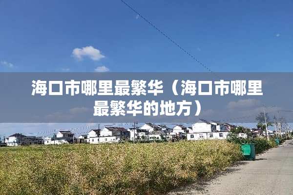 海口市哪里最繁华（海口市哪里最繁华的地方）