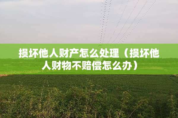 损坏他人财产怎么处理（损坏他人财物不赔偿怎么办）