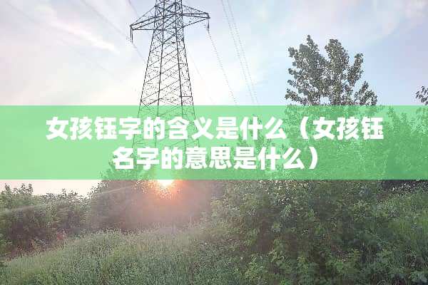 女孩钰字的含义是什么（女孩钰名字的意思是什么）