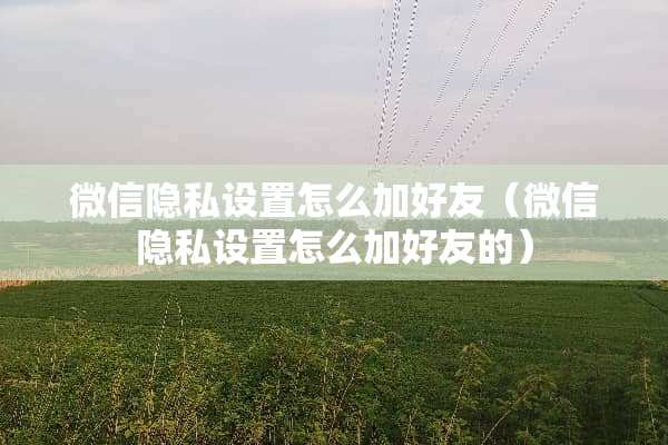 微信隐私设置怎么加好友（微信隐私设置怎么加好友的）