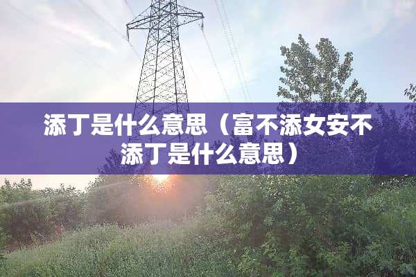 添丁是什么意思（富不添女安不添丁是什么意思）
