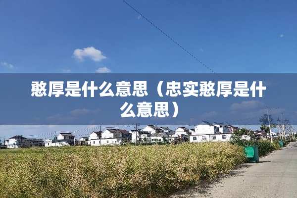 憨厚是什么意思（忠实憨厚是什么意思）