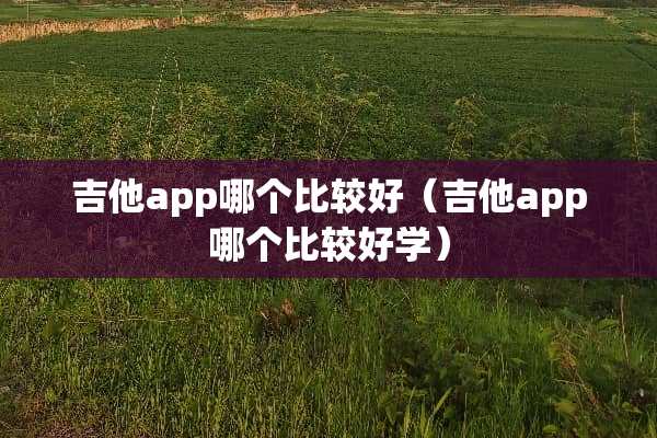 吉他app哪个比较好（吉他app哪个比较好学）