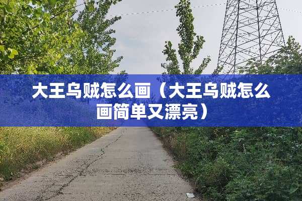 大王乌贼怎么画（大王乌贼怎么画简单又漂亮）