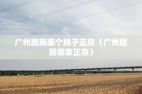 广州腊肠哪个牌子正宗（广州腊肠哪家正宗）