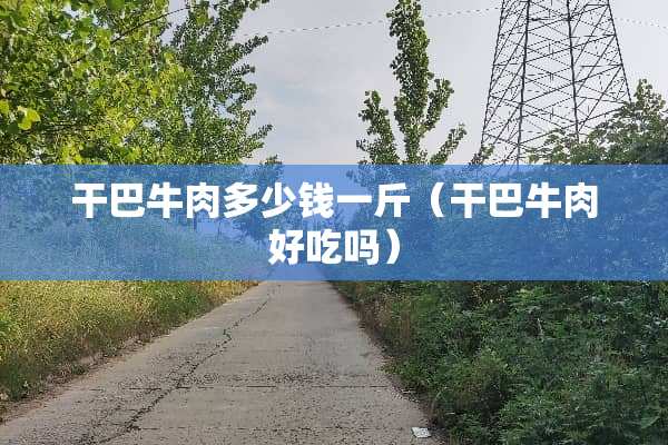 干巴牛肉多少钱一斤（干巴牛肉好吃吗）