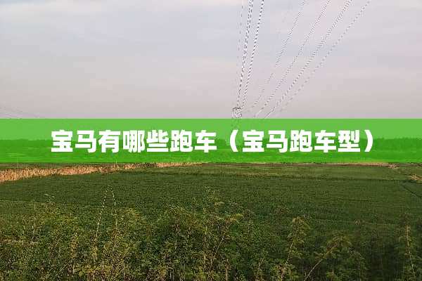 宝马有哪些跑车（宝马跑车型）