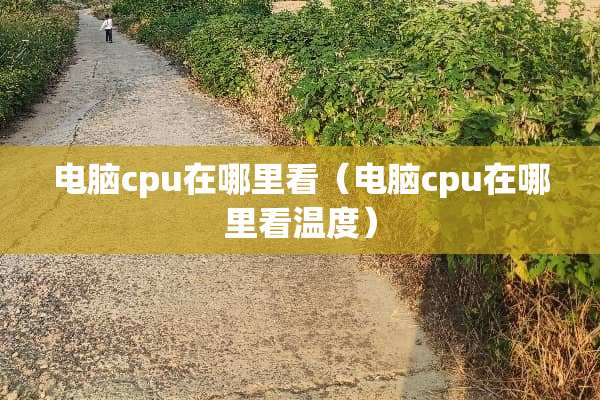 电脑cpu在哪里看（电脑cpu在哪里看温度）