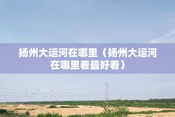 扬州大运河在哪里（扬州大运河在哪里看最好看）