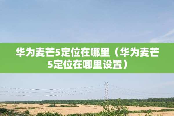 华为麦芒5定位在哪里（华为麦芒5定位在哪里设置）
