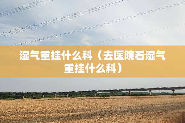 湿气重挂什么科（去医院看湿气重挂什么科）