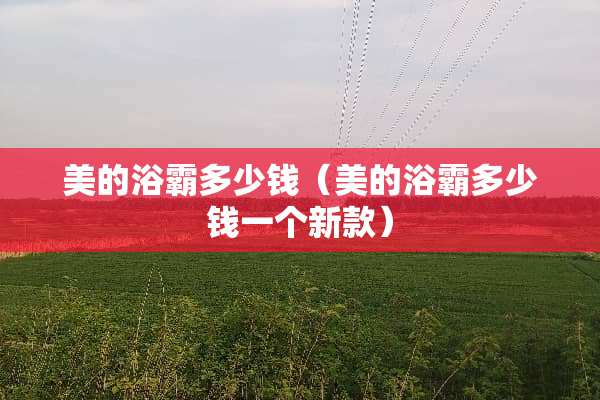美的浴霸多少钱（美的浴霸多少钱一个新款）