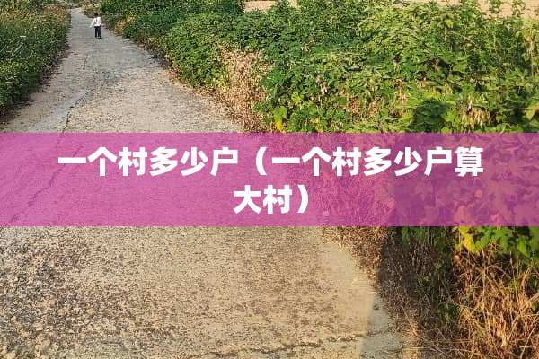 一个村多少户（一个村多少户算大村）
