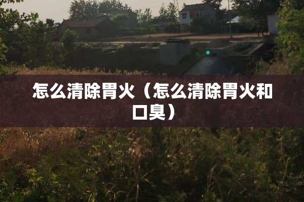 怎么清除胃火（怎么清除胃火和口臭）