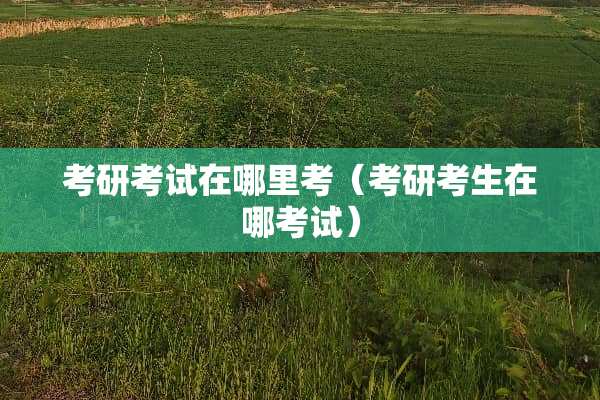 考研考试在哪里考（考研考生在哪考试）