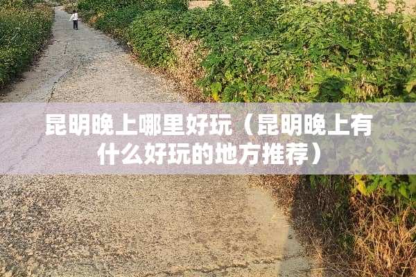 昆明晚上哪里好玩（昆明晚上有什么好玩的地方推荐）