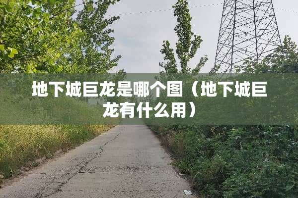 **城巨龙是哪个图（**城巨龙有什么用）