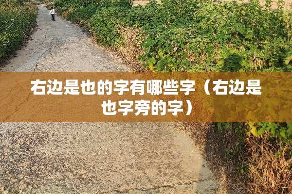 右边是也的字有哪些字（右边是也字旁的字）