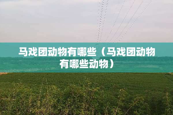 马戏团动物有哪些（马戏团动物有哪些动物）