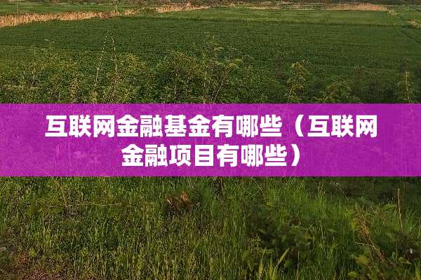 互联网金融基金有哪些（互联网金融项目有哪些）