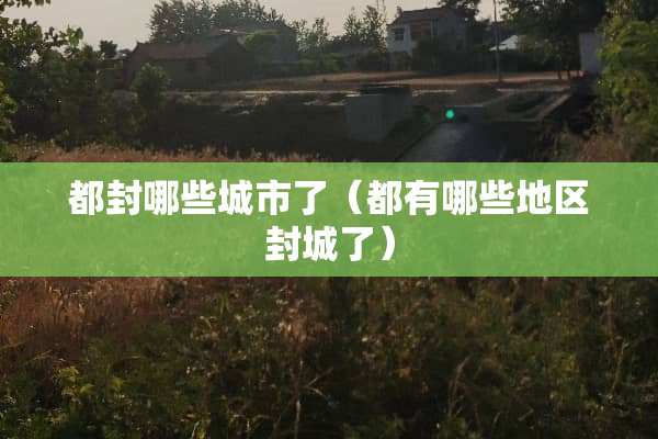 都封哪些城市了（都有哪些地区封城了）
