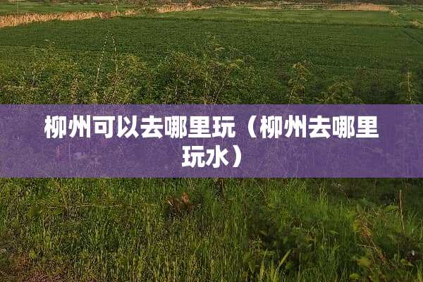 柳州可以去哪里玩（柳州去哪里玩水）