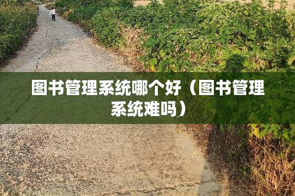 图书管理系统哪个好（图书管理系统难吗）