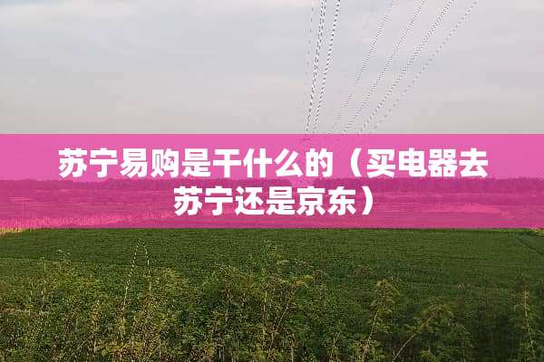 苏宁易购是干什么的（买电器去苏宁还是京东）