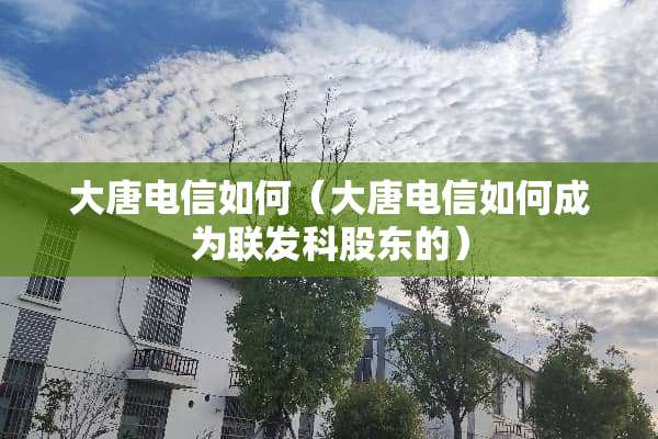 大唐电信如何（大唐电信如何成为联发科股东的）