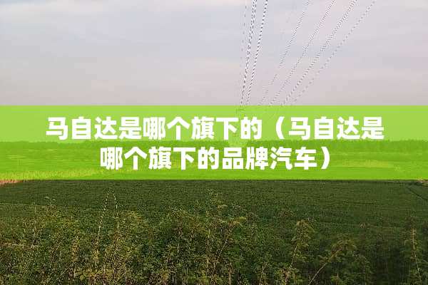 ***是哪个旗下的（***是哪个旗下的品牌汽车）