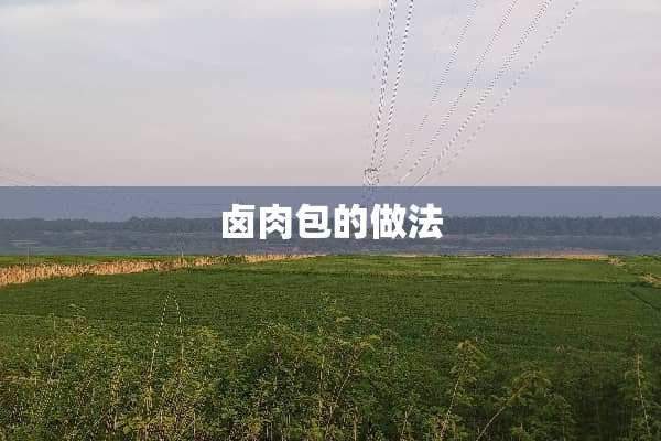 卤肉包的做法
