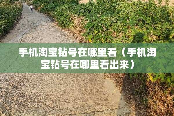 手机淘宝钻号在哪里看（手机淘宝钻号在哪里看出来）