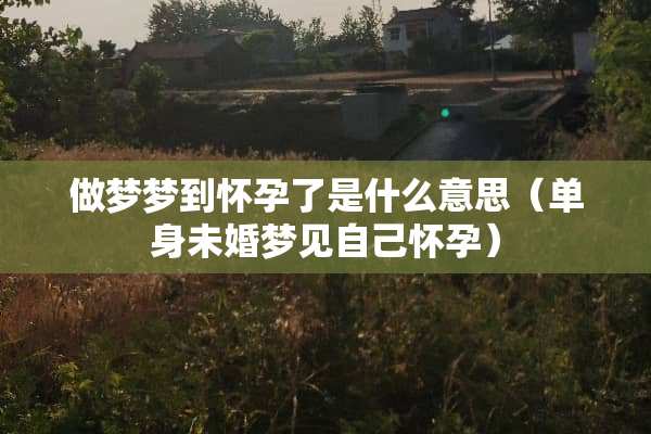 做梦梦到怀孕了是什么意思（单身未婚梦见自己怀孕）
