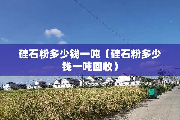 硅石粉多少钱一吨（硅石粉多少钱一吨回收）