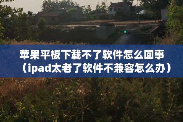 苹果平板下载不了软件怎么回事（ipad太老了软件不兼容怎么办）