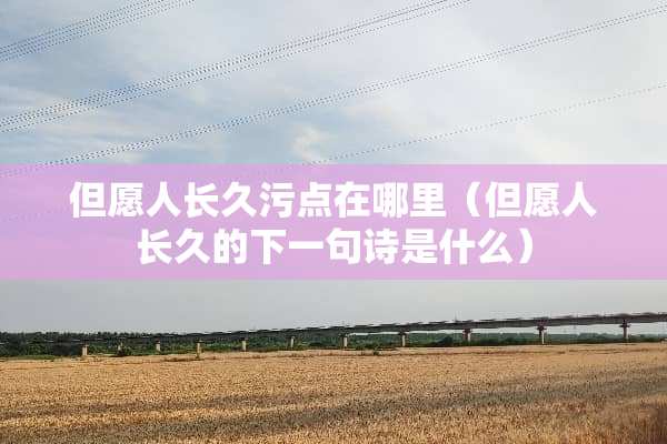 但愿人长久污点在哪里（但愿人长久的下一句诗是什么）