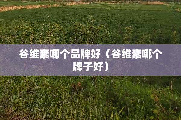 谷维素哪个品牌好（谷维素哪个牌子好）