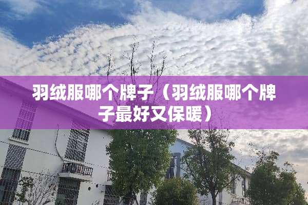 羽绒服哪个牌子（羽绒服哪个牌子最好又保暖）