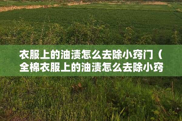 衣服上的油渍怎么去除小窍门（全棉衣服上的油渍怎么去除小窍门）