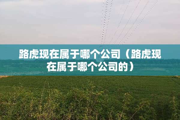 路虎现在属于哪个公司（路虎现在属于哪个公司的）