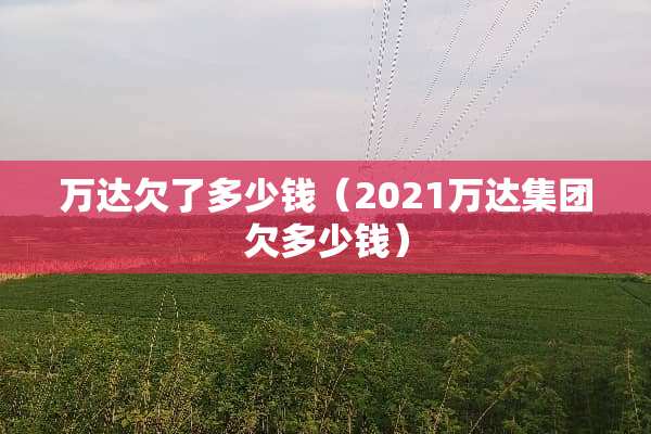 万达欠了多少钱（2021万达集团欠多少钱）